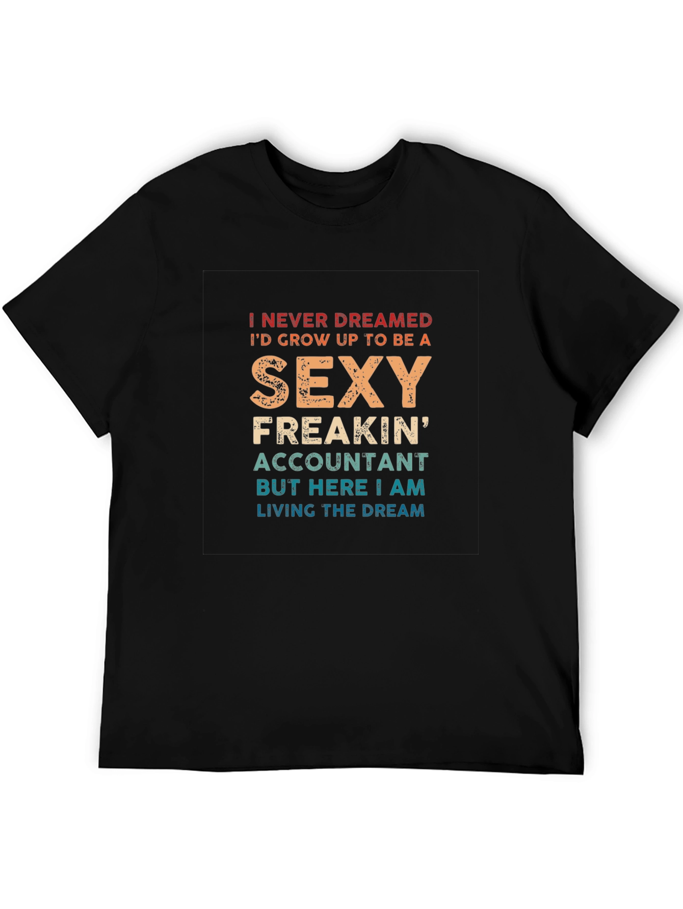Sexy Accountant T-Shirt - Funny Novelty Tee