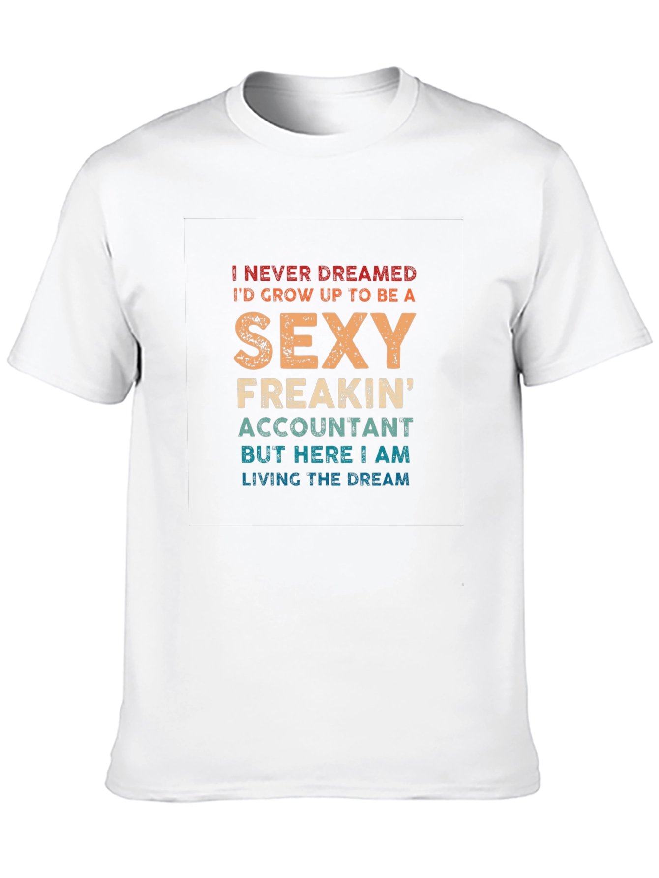 Sexy Accountant T-Shirt - Funny Novelty Tee