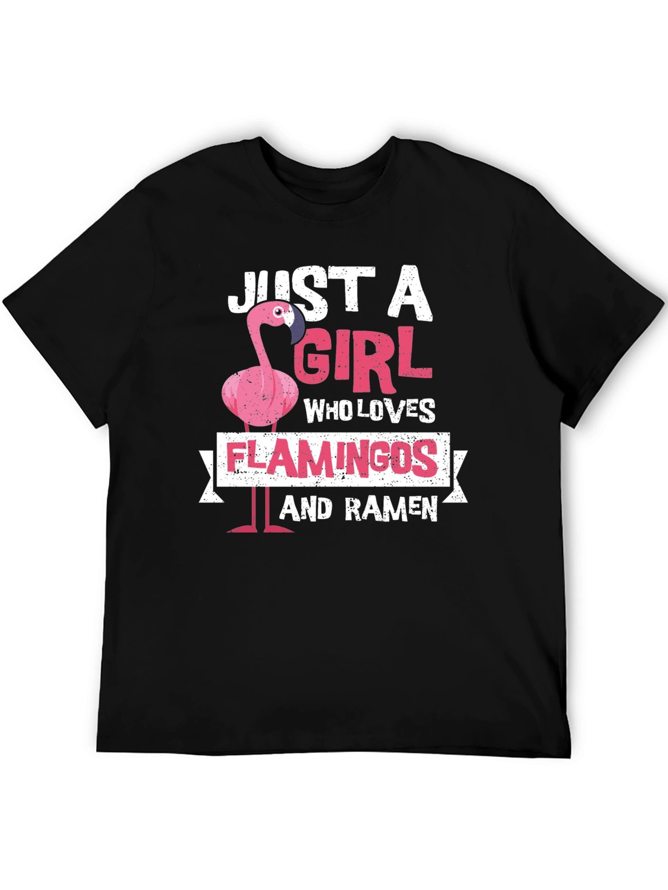 Just A Girl Who Loves Flamingos and Ramen T-Shirt