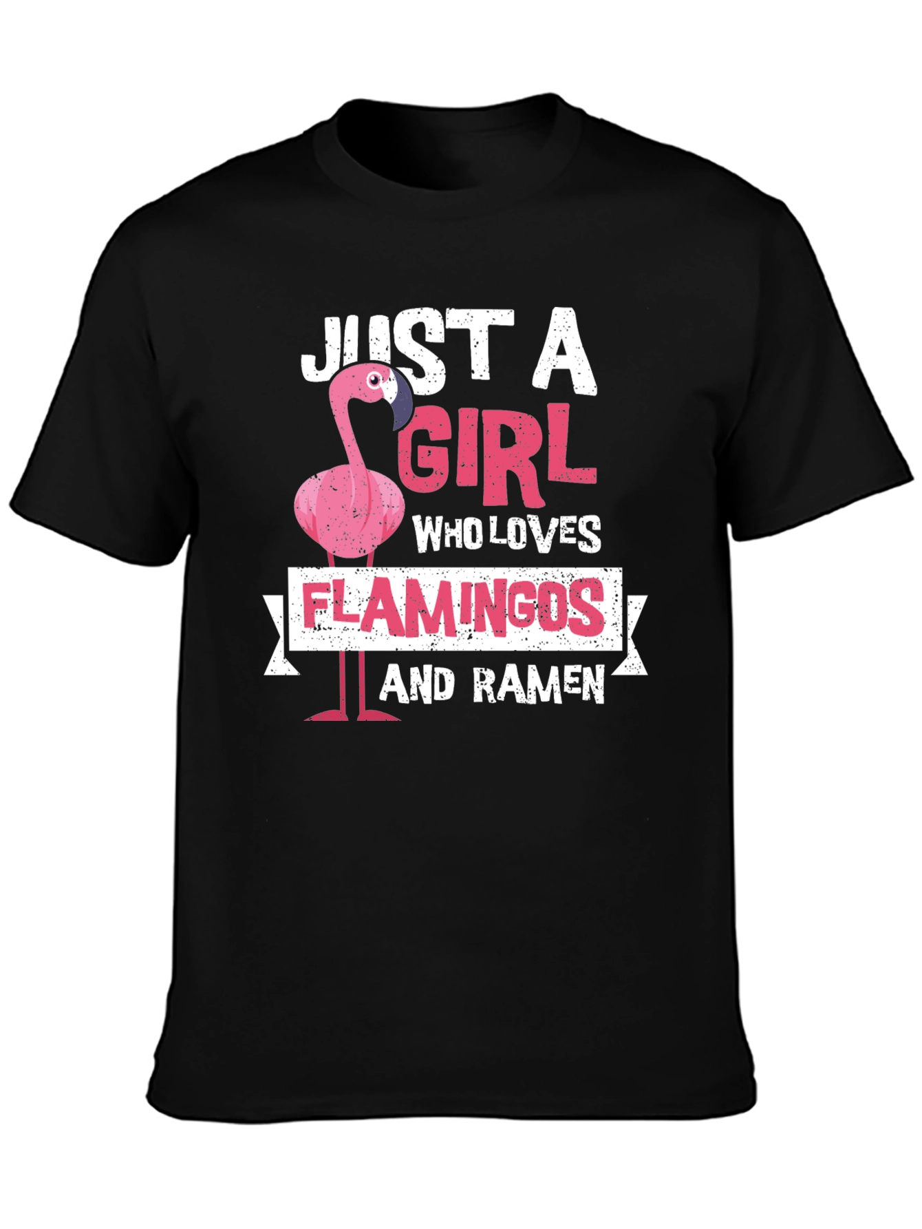 Just A Girl Who Loves Flamingos and Ramen T-Shirt