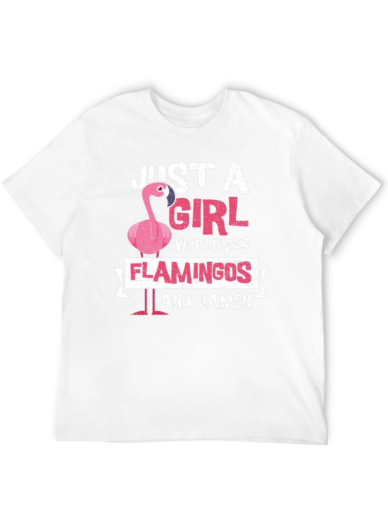 Just A Girl Who Loves Flamingos and Ramen T-Shirt