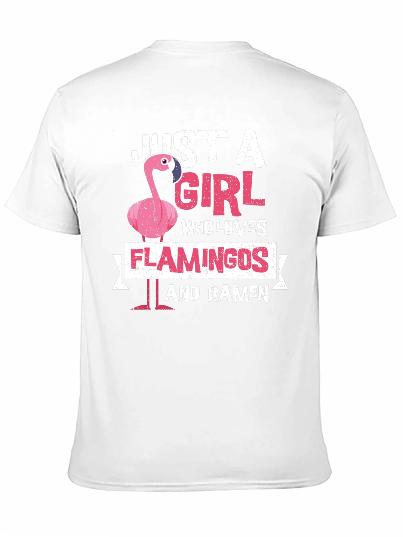 Just A Girl Who Loves Flamingos and Ramen T-Shirt
