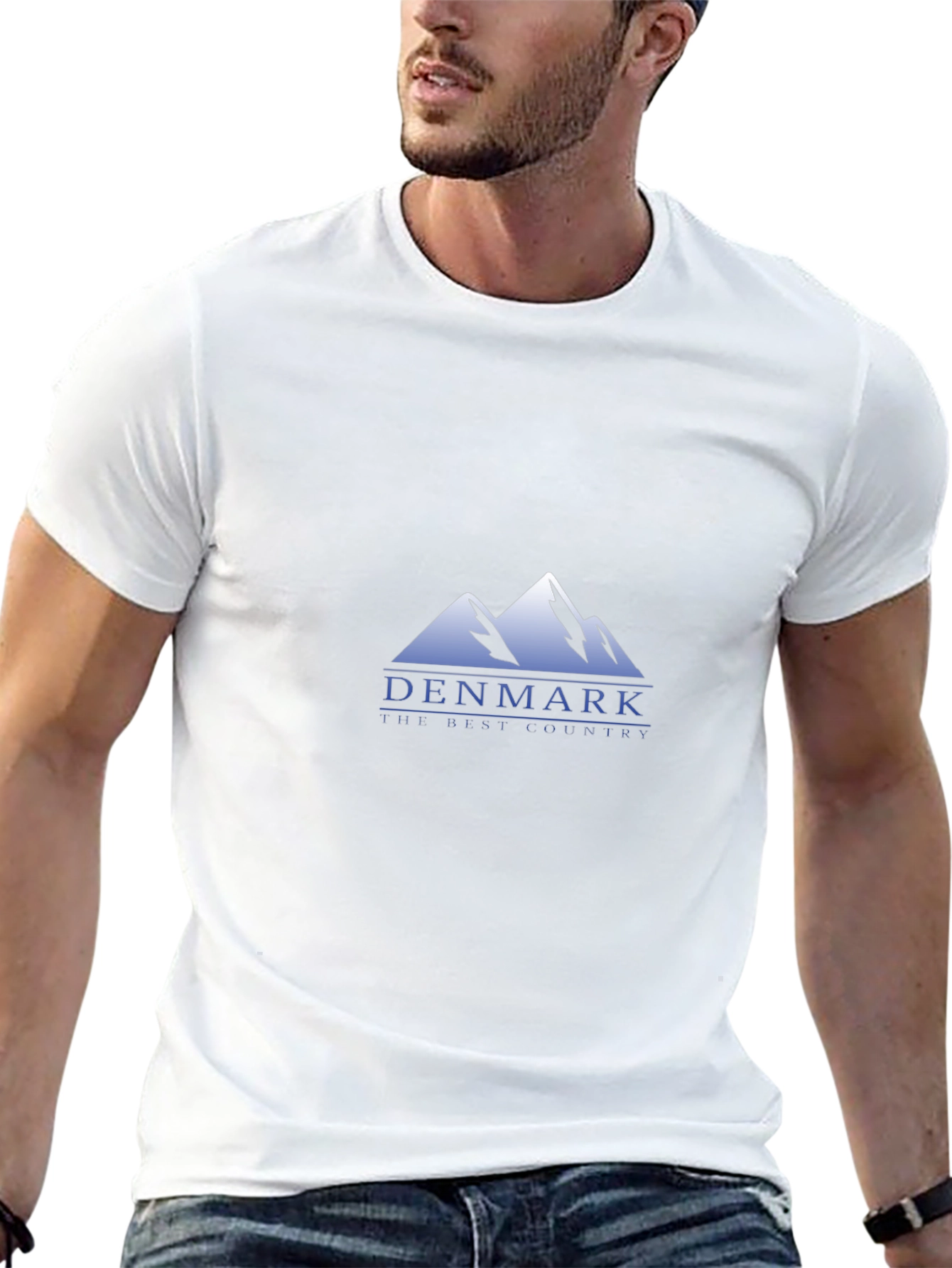 Denmark Mountain Graphic Tee - Black