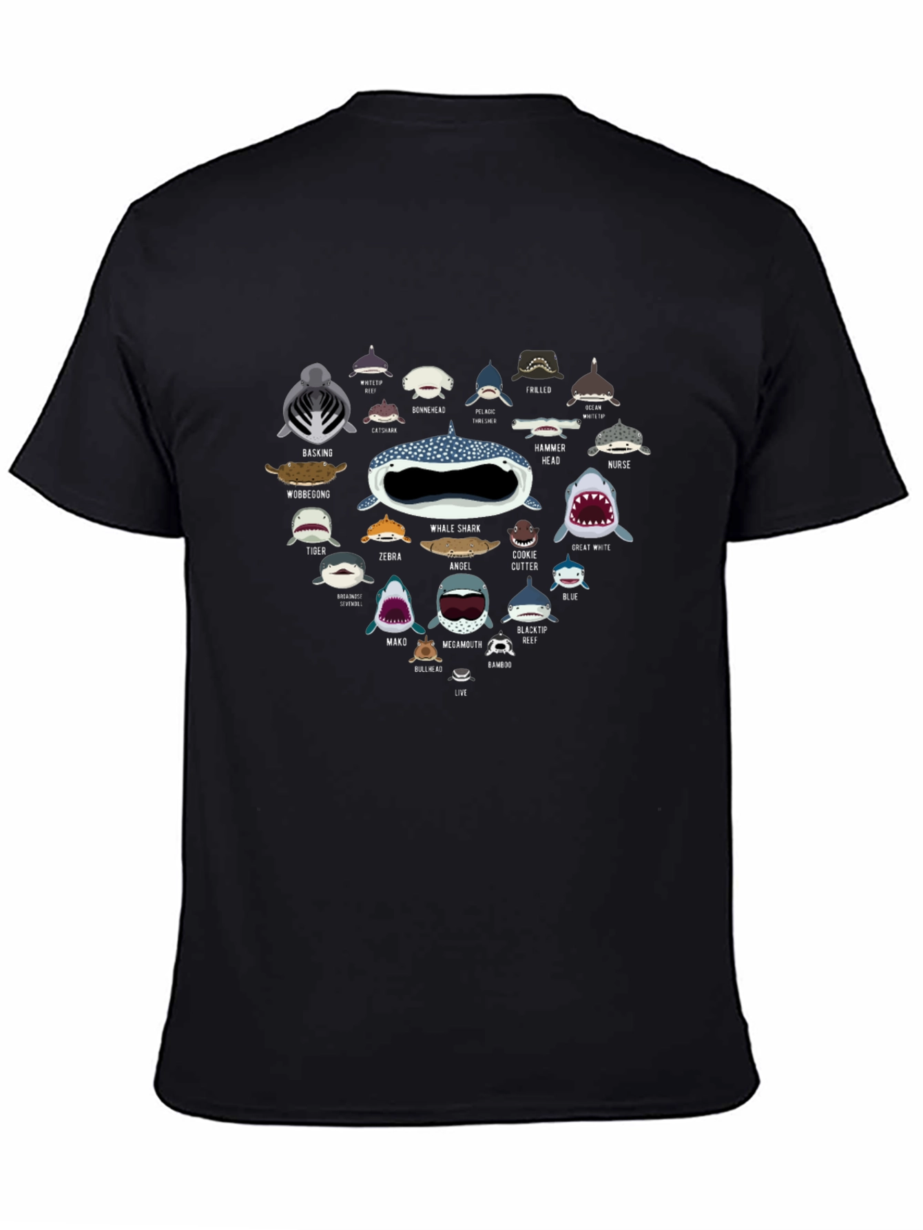 Shark Species Graphic Tee - Ocean Lover T-Shirt