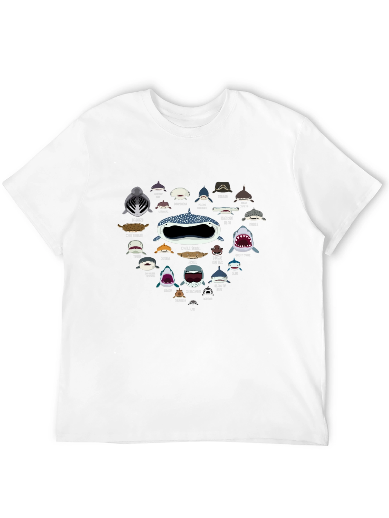 Shark Species Graphic Tee - Ocean Lover T-Shirt