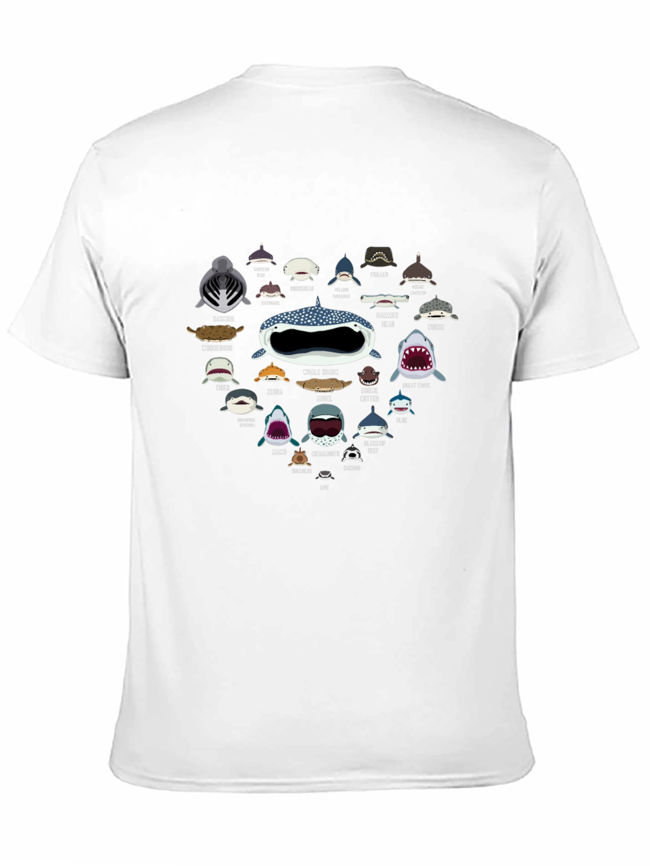 Shark Species Graphic Tee - Ocean Lover T-Shirt