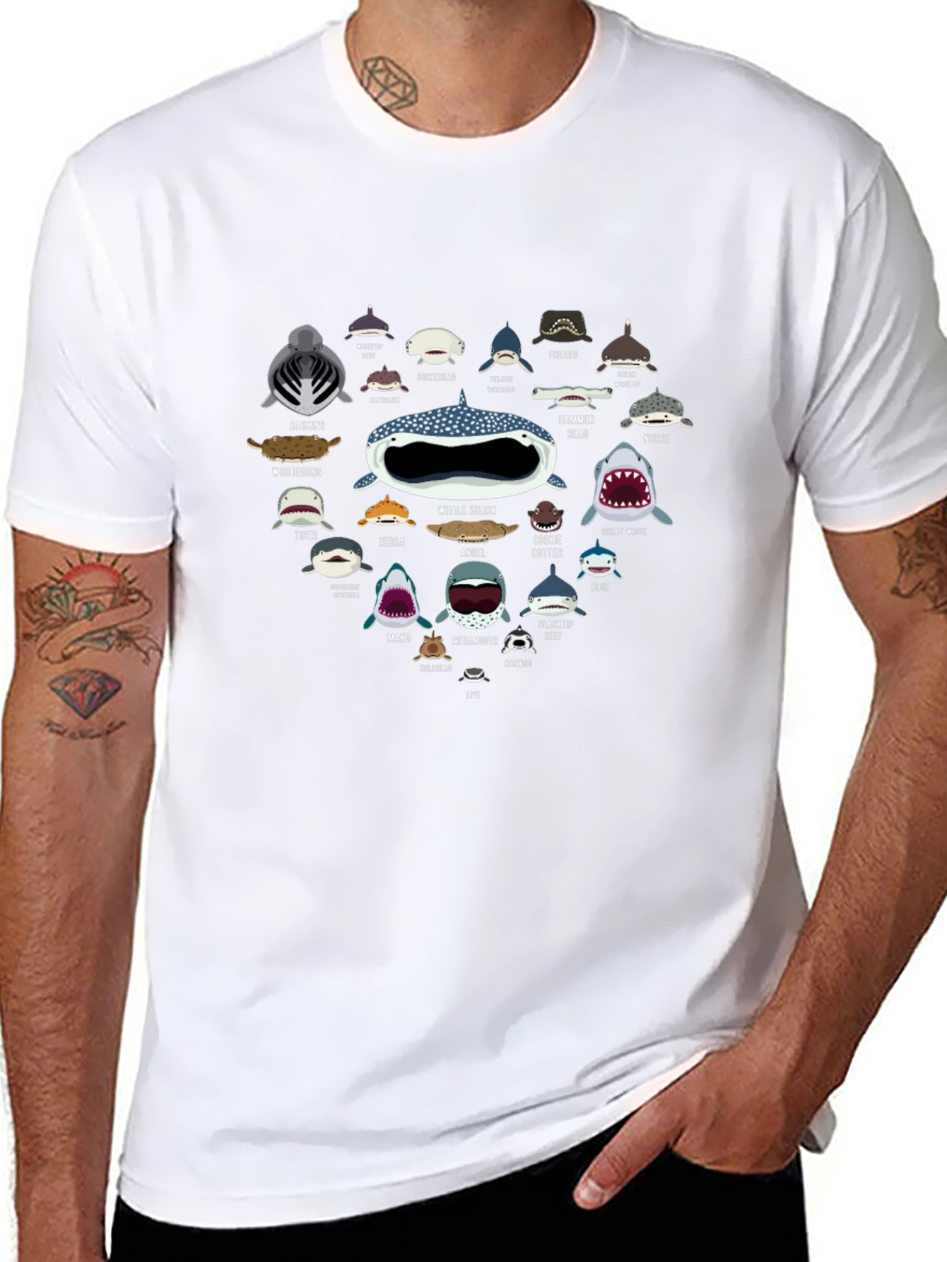 Shark Species Graphic Tee - Ocean Lover T-Shirt