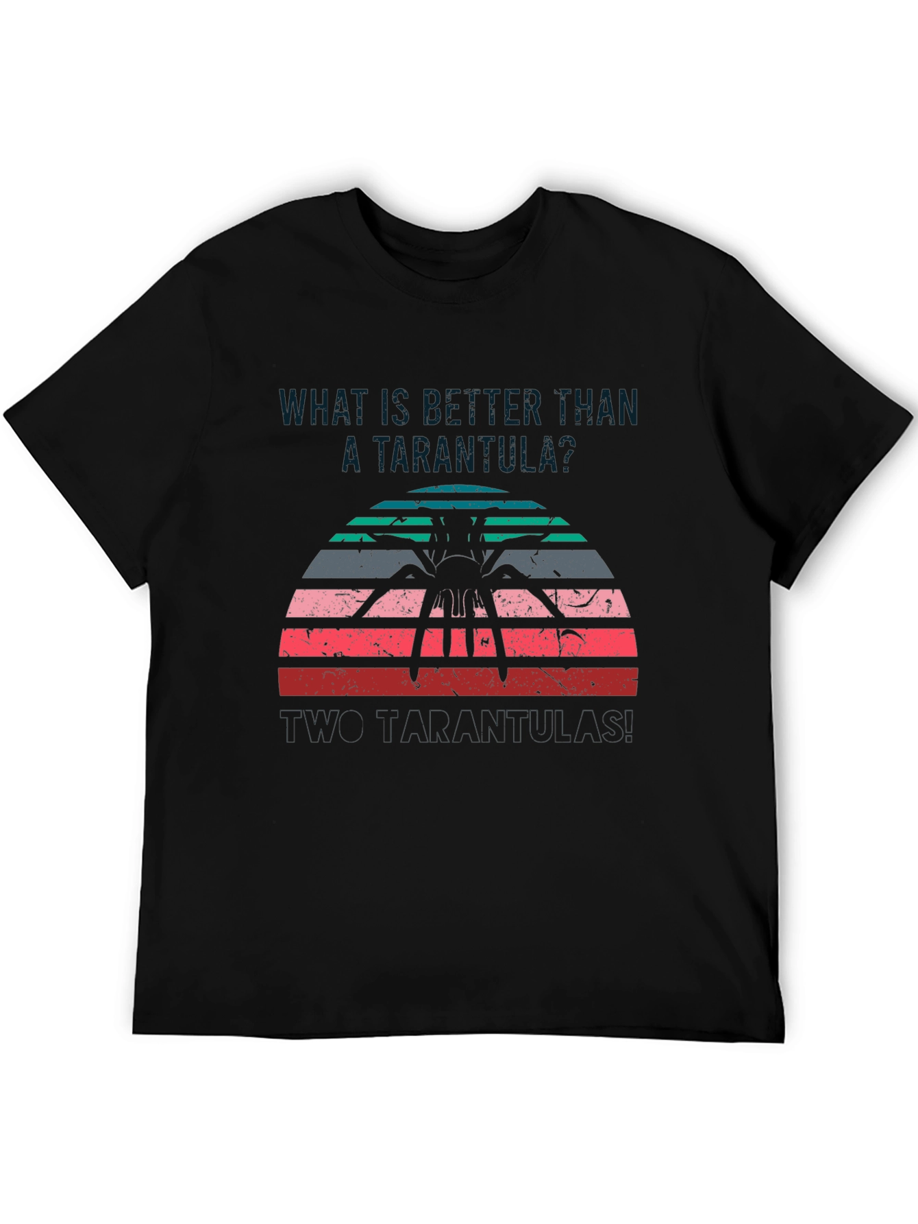 Tarantula Sunset Graphic T-Shirt