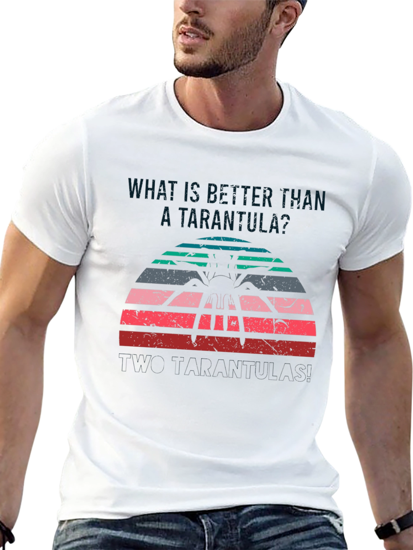 Tarantula Sunset Graphic T-Shirt