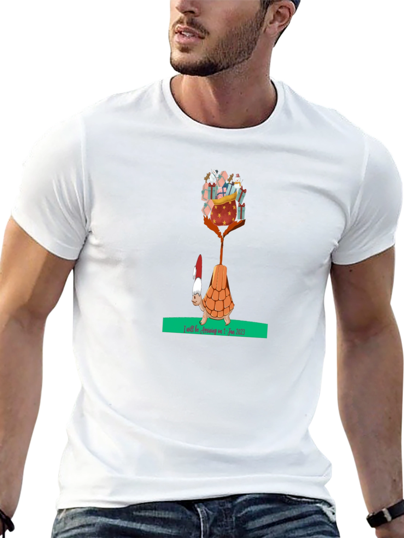 Holiday Turtle T-Shirt - Gifts Arriving Jan 2025