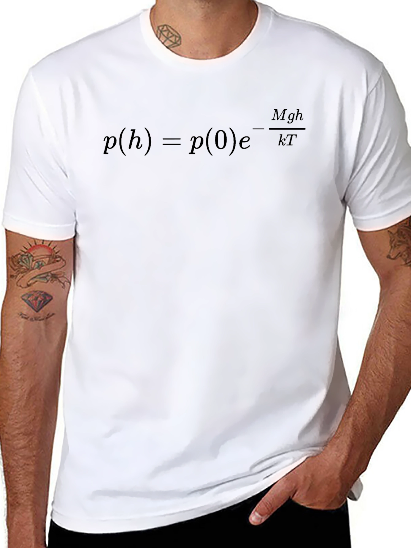 Physics Equation Graphic Tee - Pressure Altitude Formula