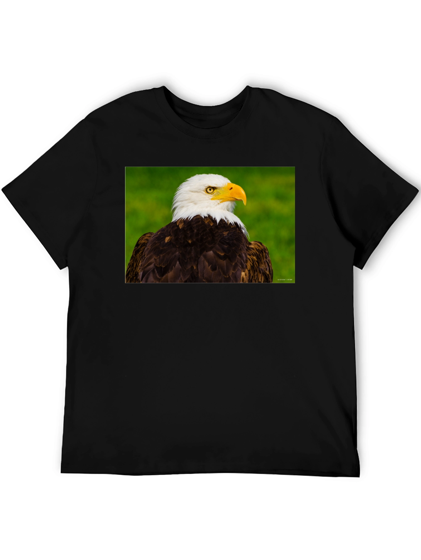 Bald Eagle Graphic Tee - Black Crew Neck
