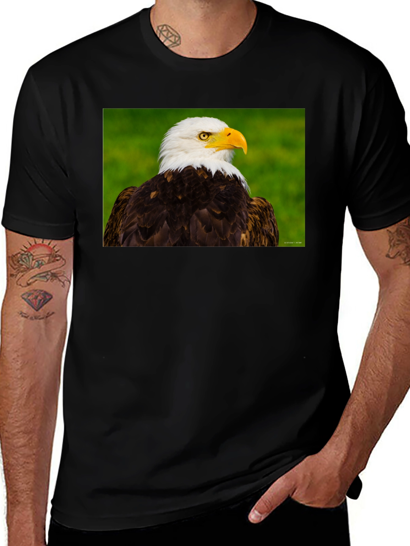 Bald Eagle Graphic Tee - Black Crew Neck