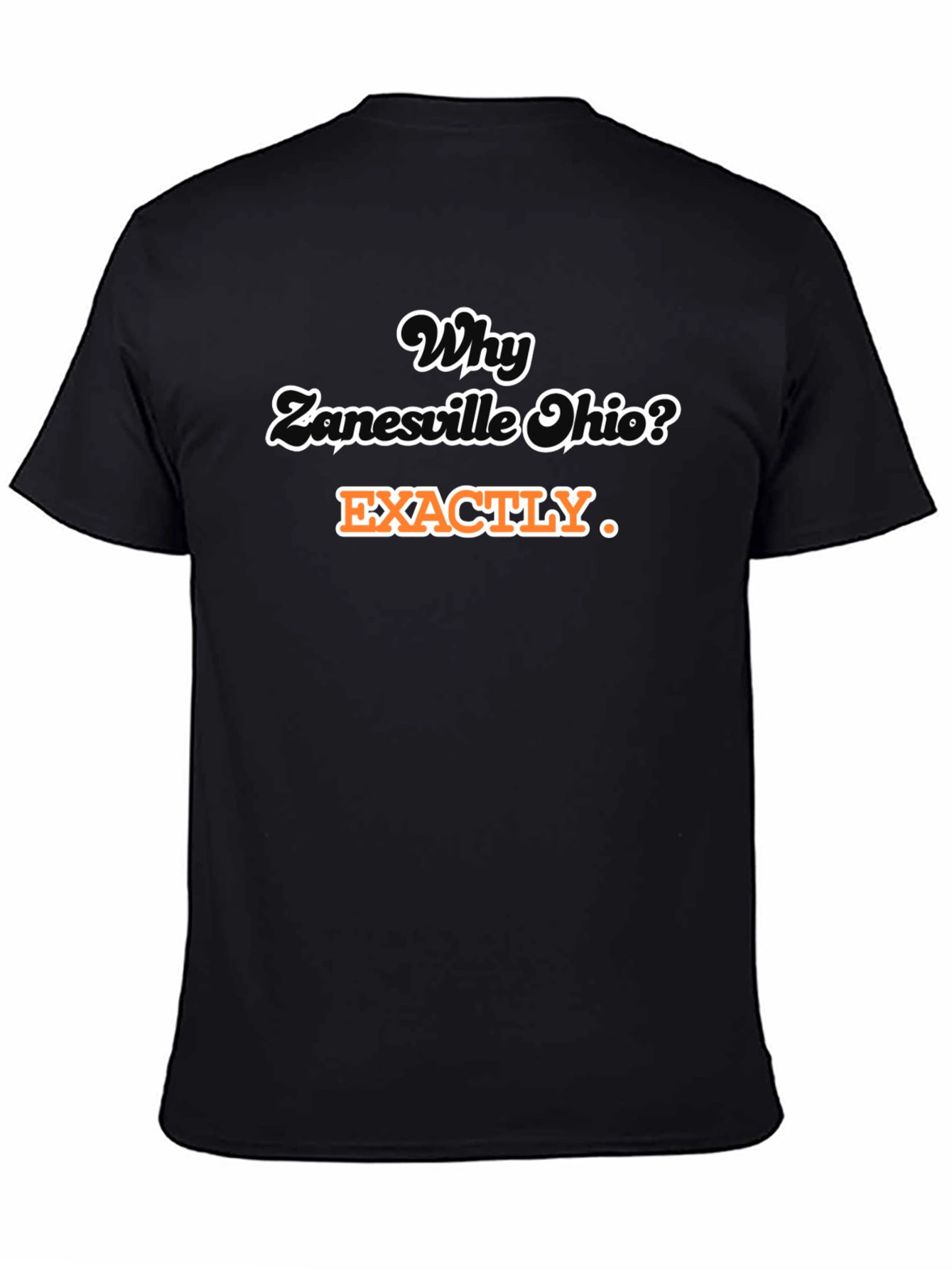 Why Zanesville Ohio? T-Shirt