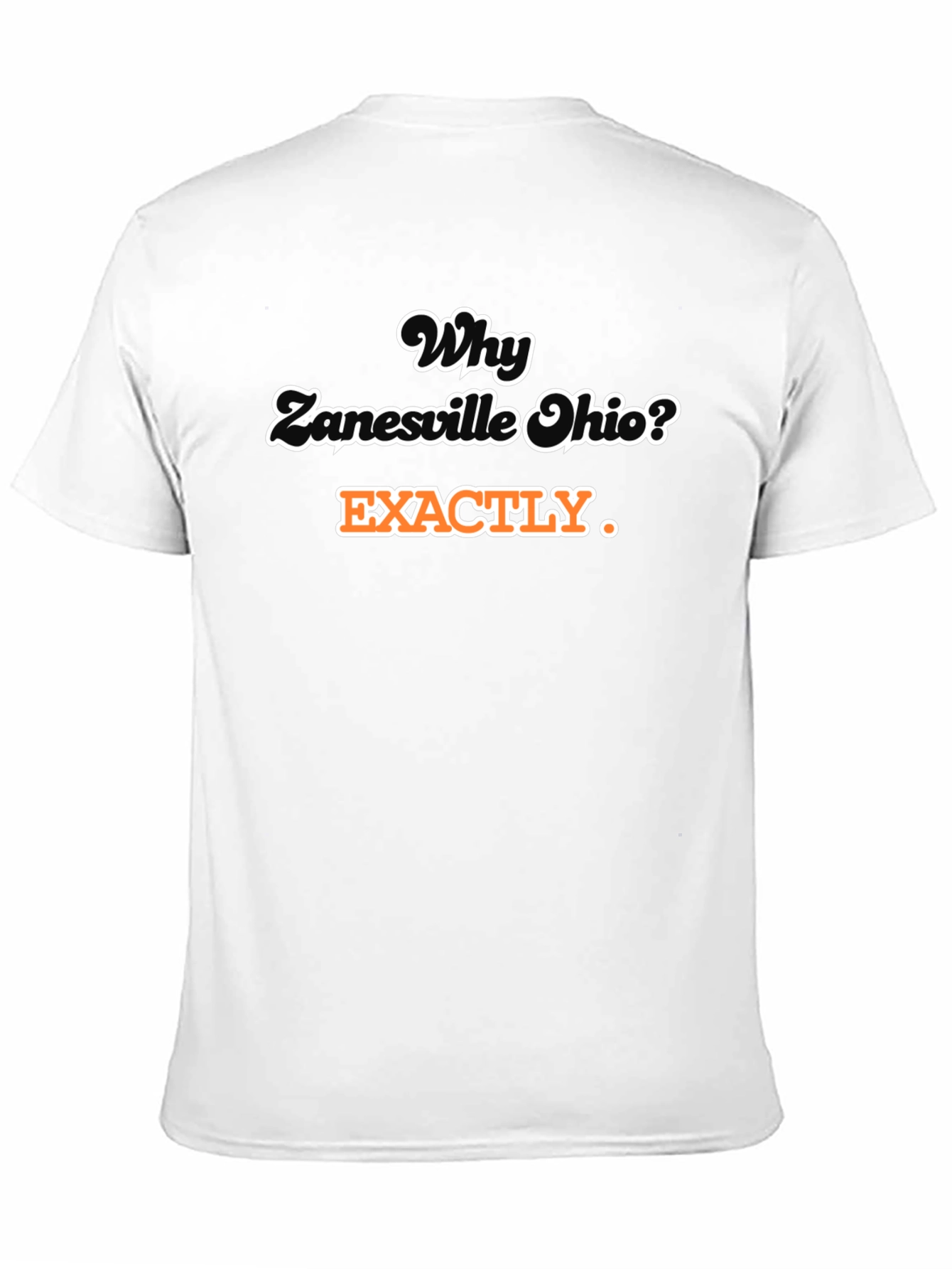 Why Zanesville Ohio? T-Shirt