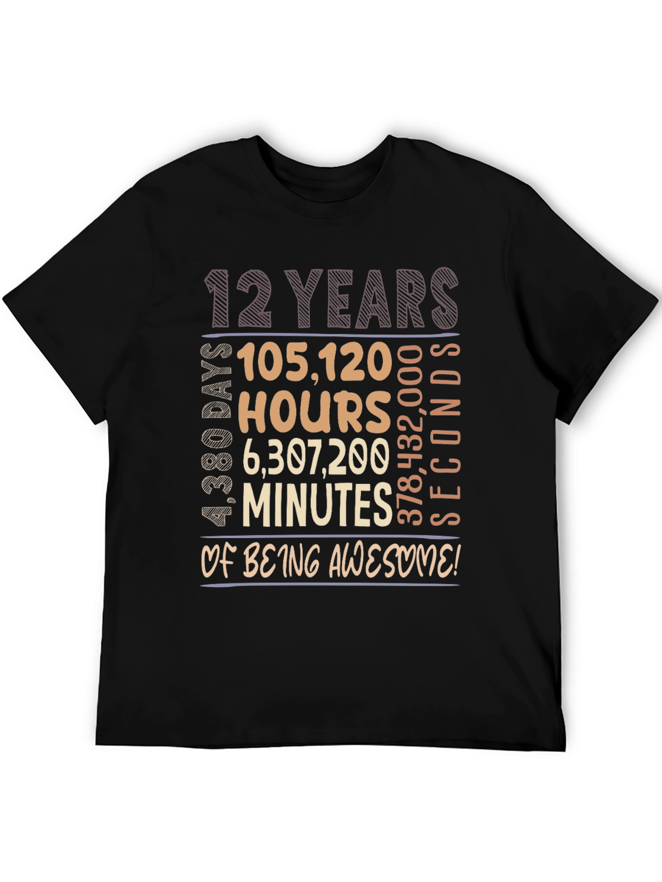 12 Years Of Being Awesome T-Shirt