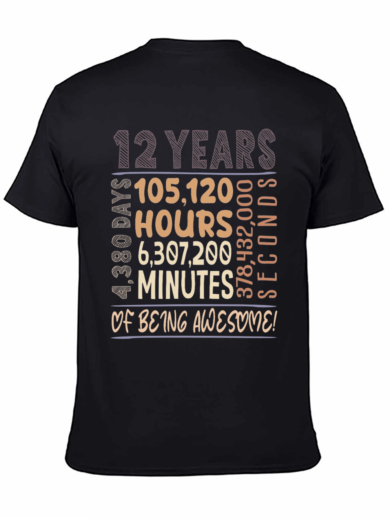 12 Years Of Being Awesome T-Shirt