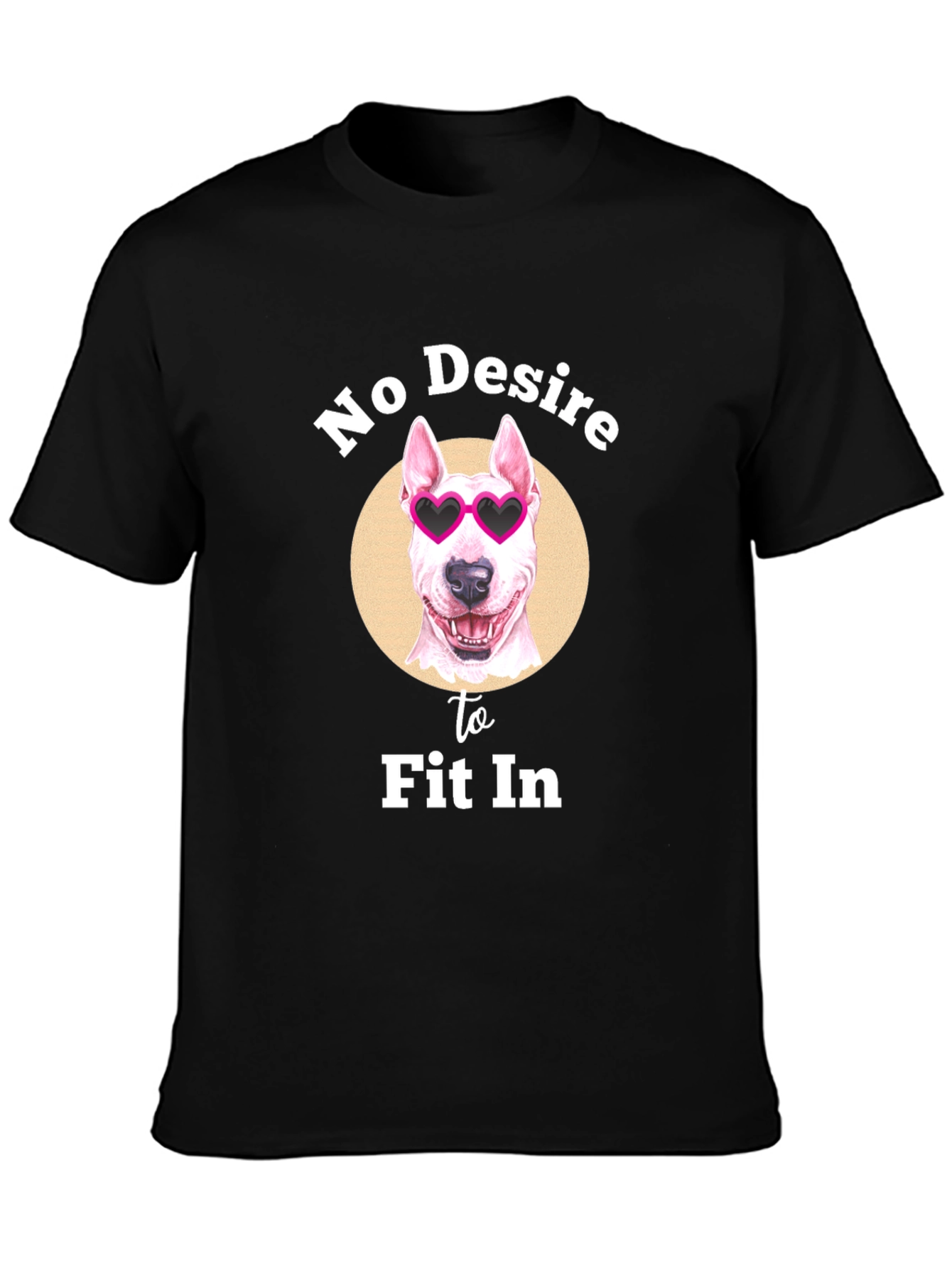 No Desire to Fit In T-Shirt