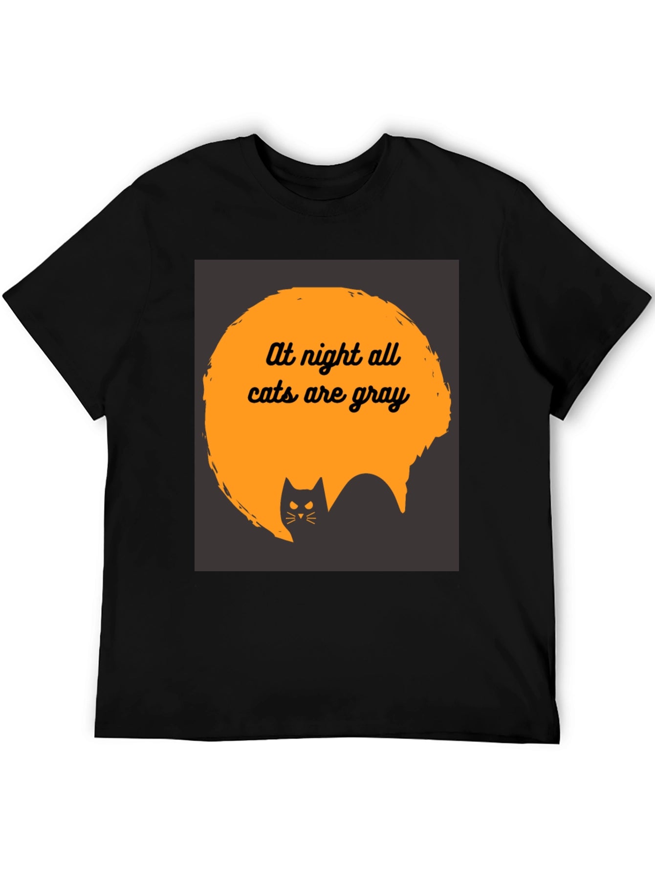 At Night All Cats are Gray T-Shirt