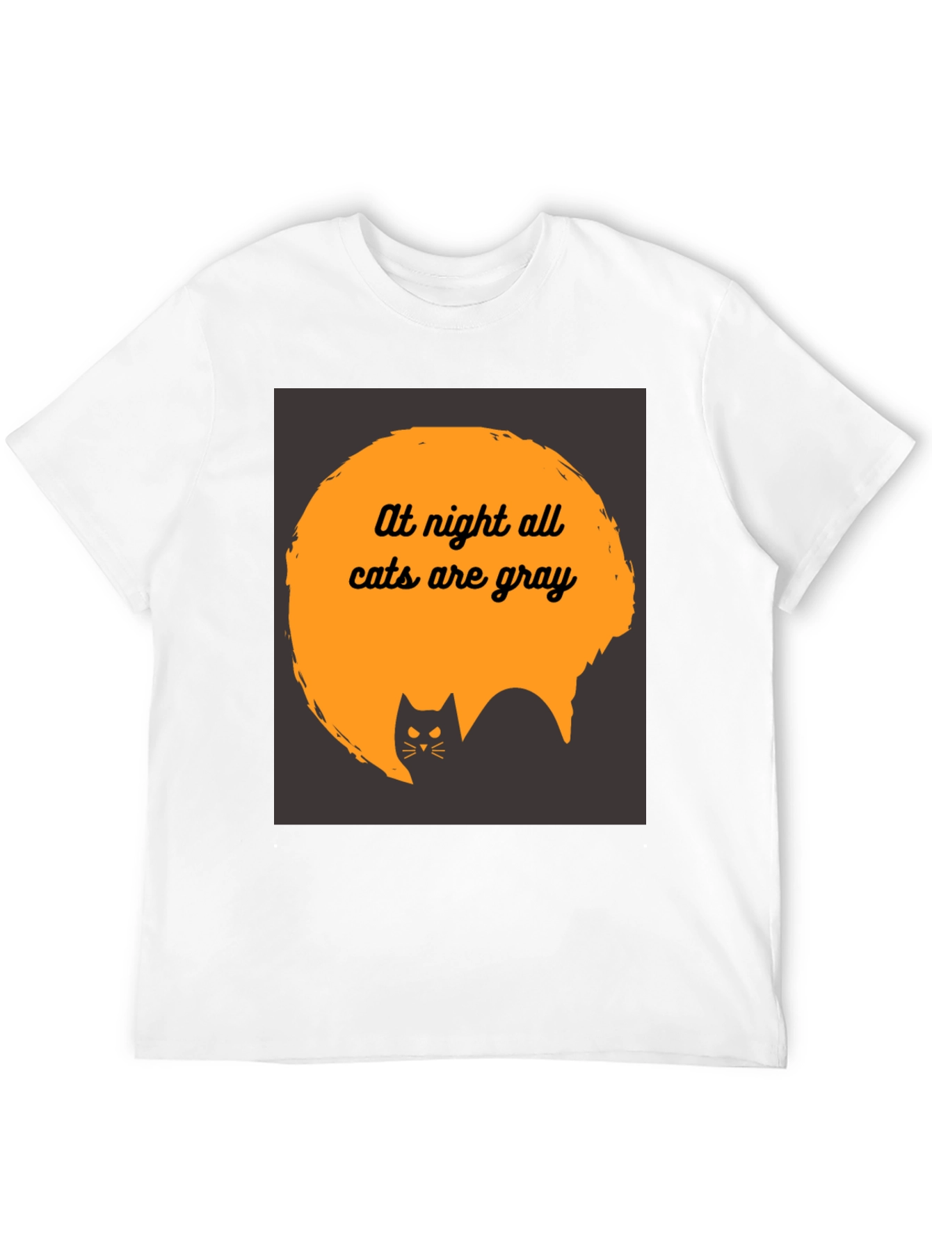 At Night All Cats are Gray T-Shirt