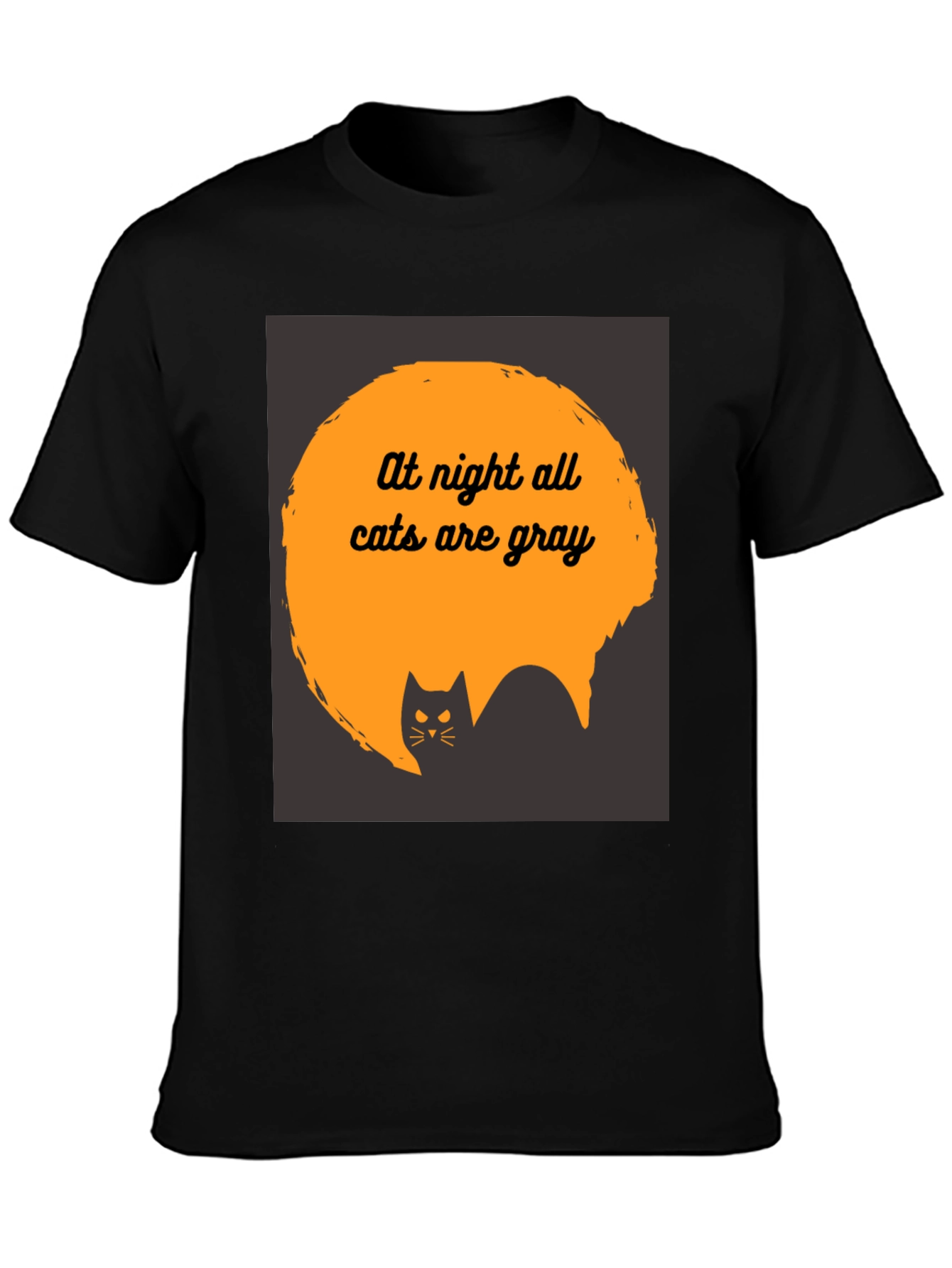 At Night All Cats are Gray T-Shirt