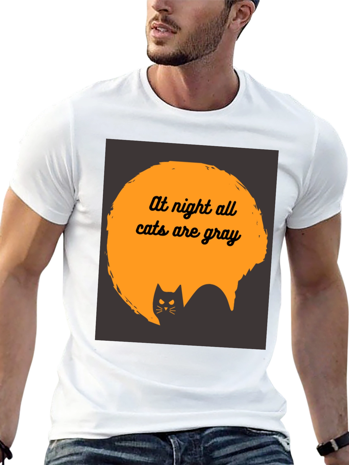 At Night All Cats are Gray T-Shirt