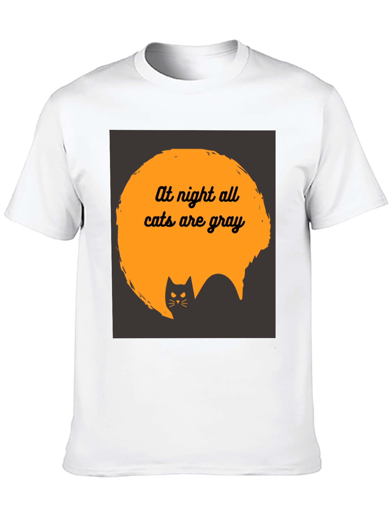 At Night All Cats are Gray T-Shirt