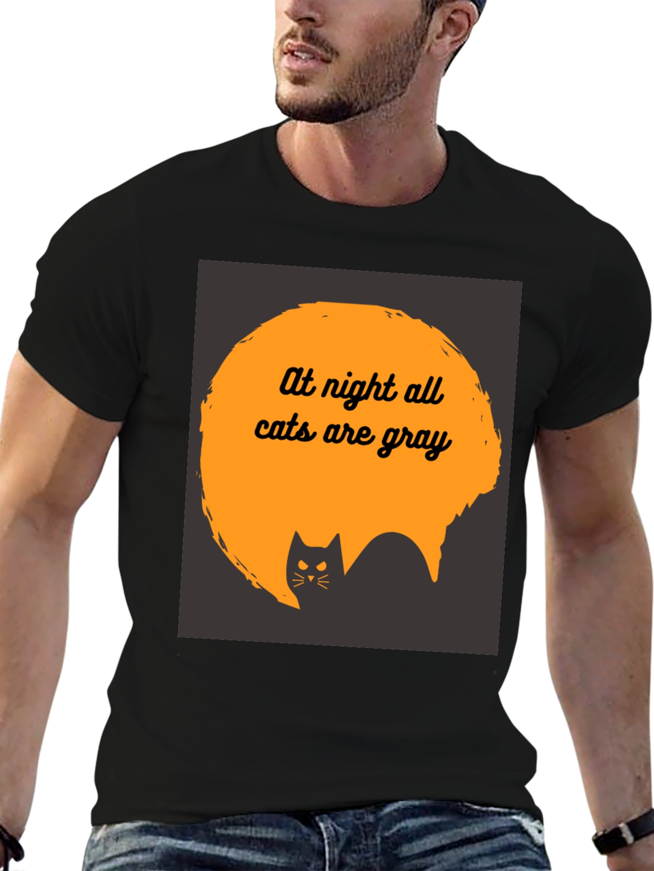 At Night All Cats are Gray T-Shirt