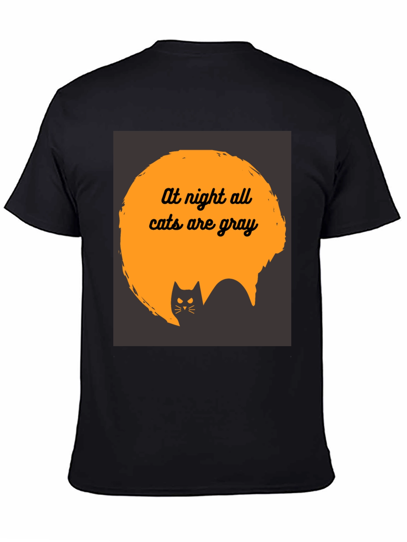 At Night All Cats are Gray T-Shirt
