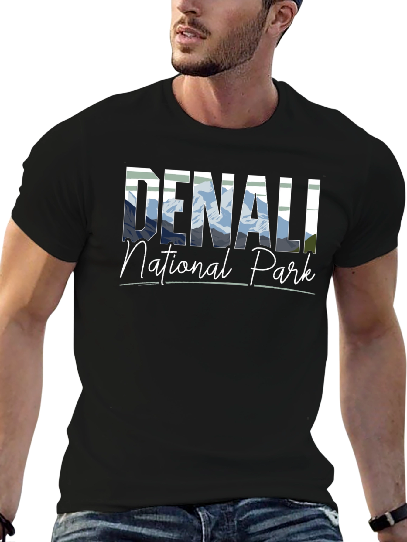 Denali National Park Black T-Shirt