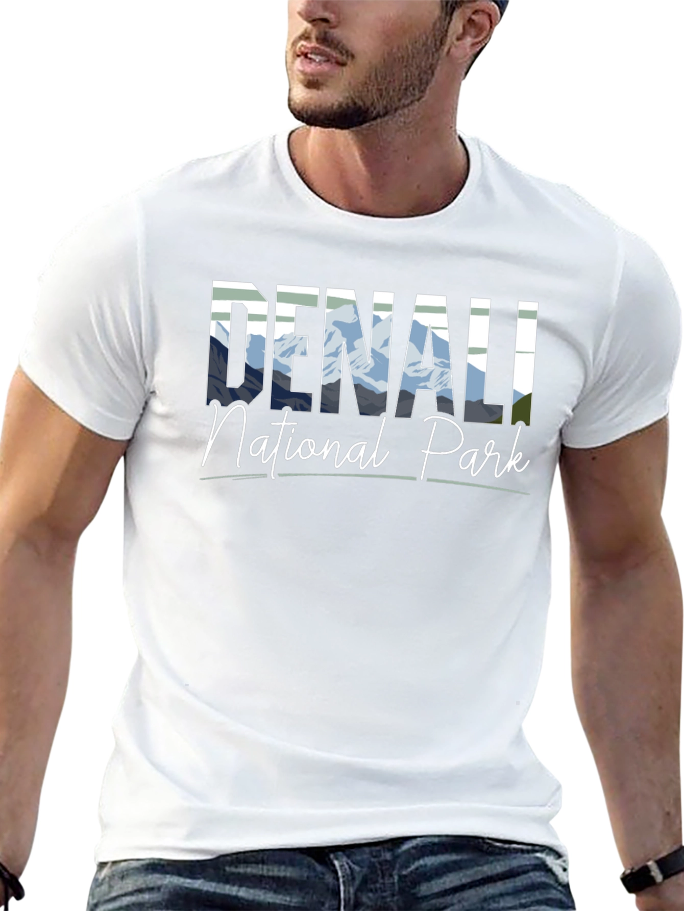 Denali National Park Black T-Shirt