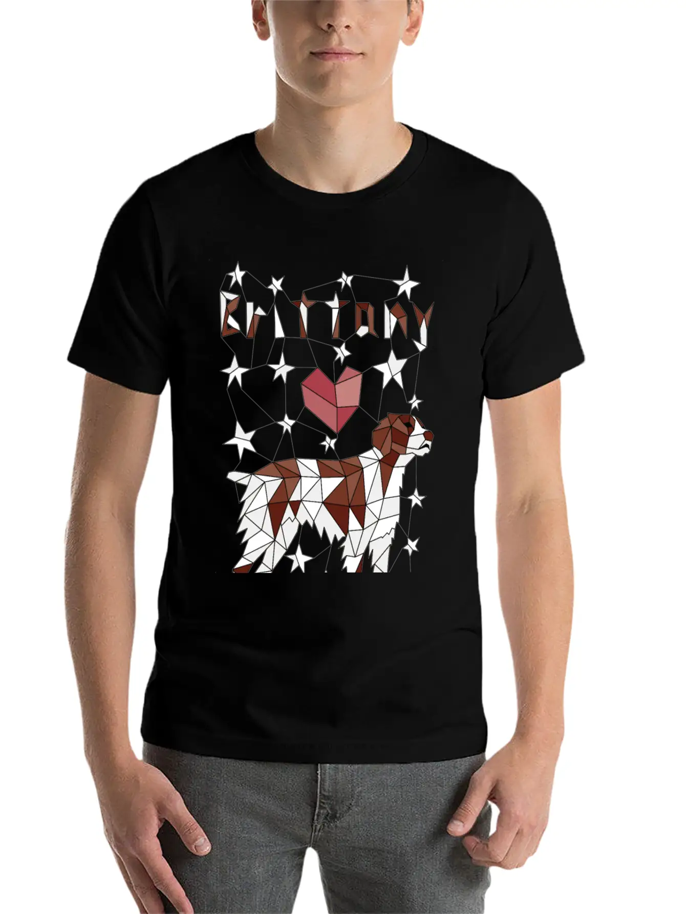Geometric Brittney Unisex Casual T-Shirt – Clean Design For Daily Comfort