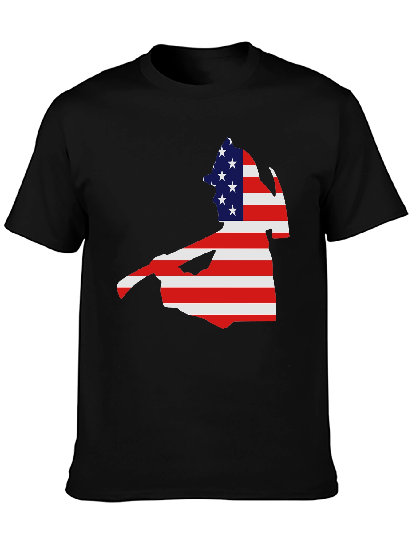 American Flag Cape Cod Black T-Shirt
