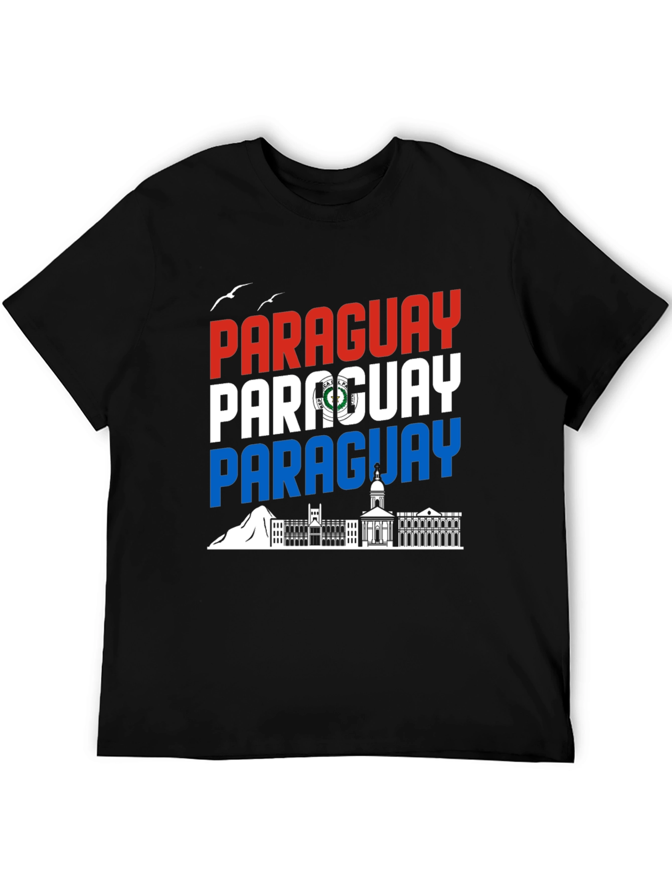 Paraguay Flag Graphic Tee - Black