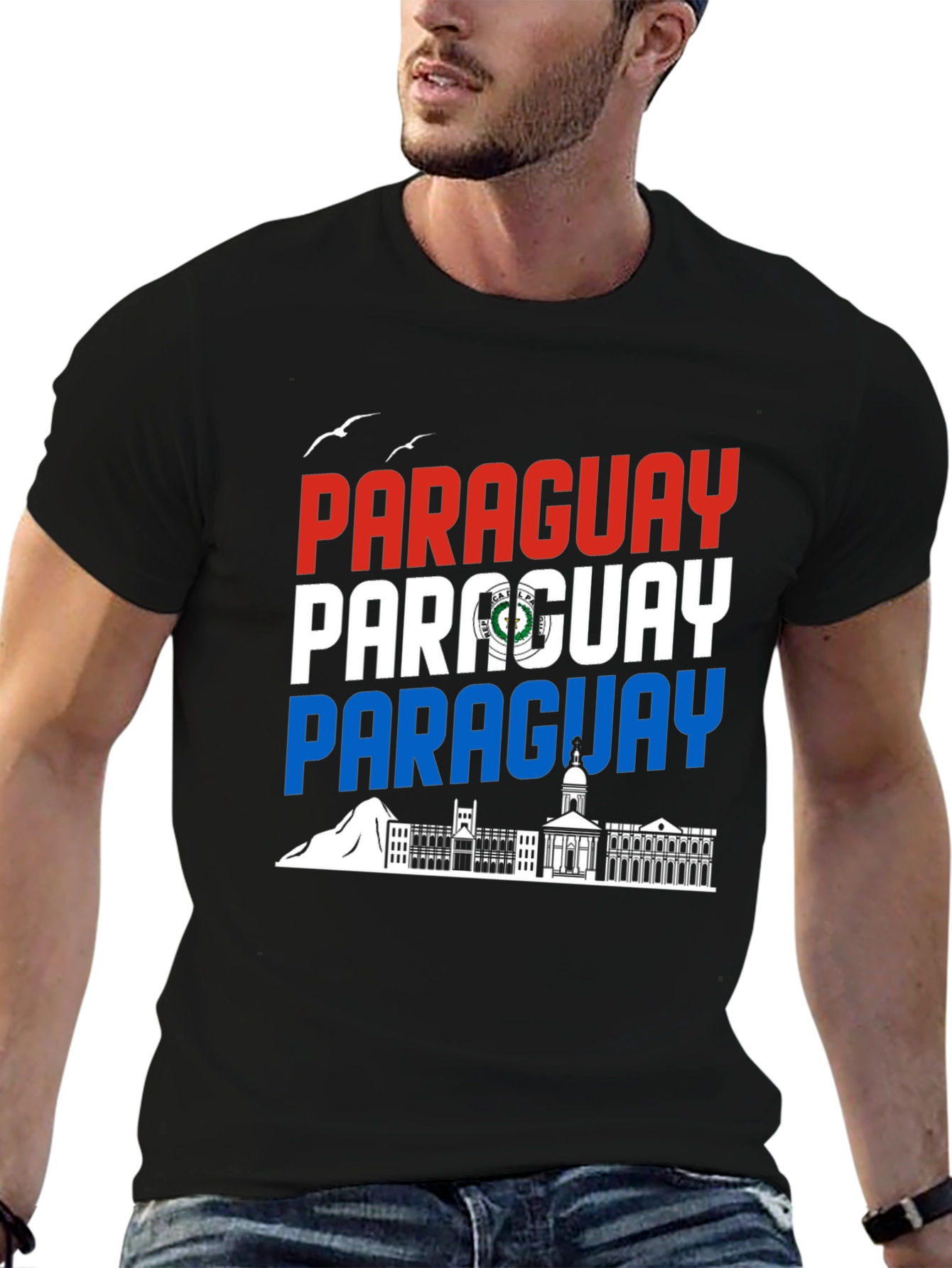 Paraguay Flag Graphic Tee - Black