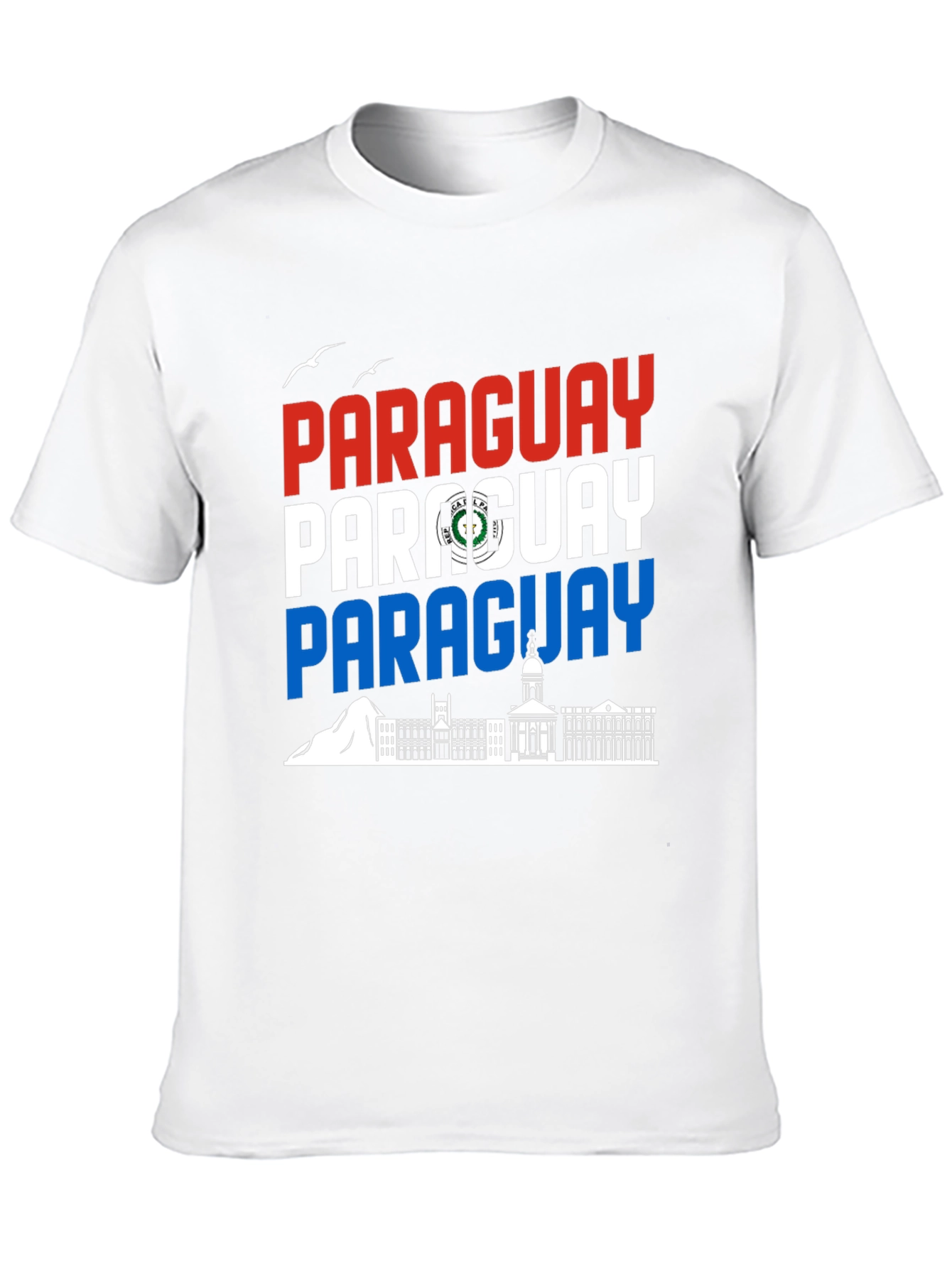 Paraguay Flag Graphic Tee - Black