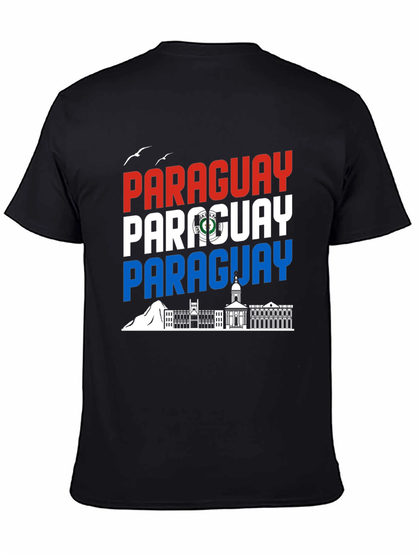 Paraguay Flag Graphic Tee - Black