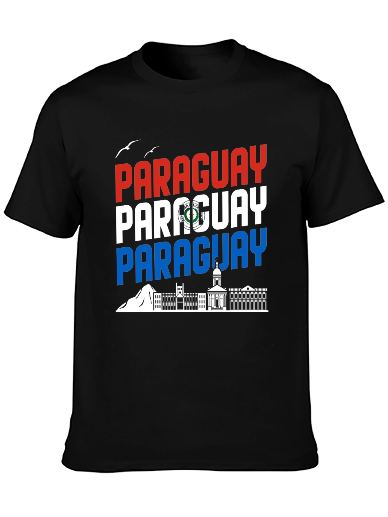 Paraguay Flag Graphic Tee - Black