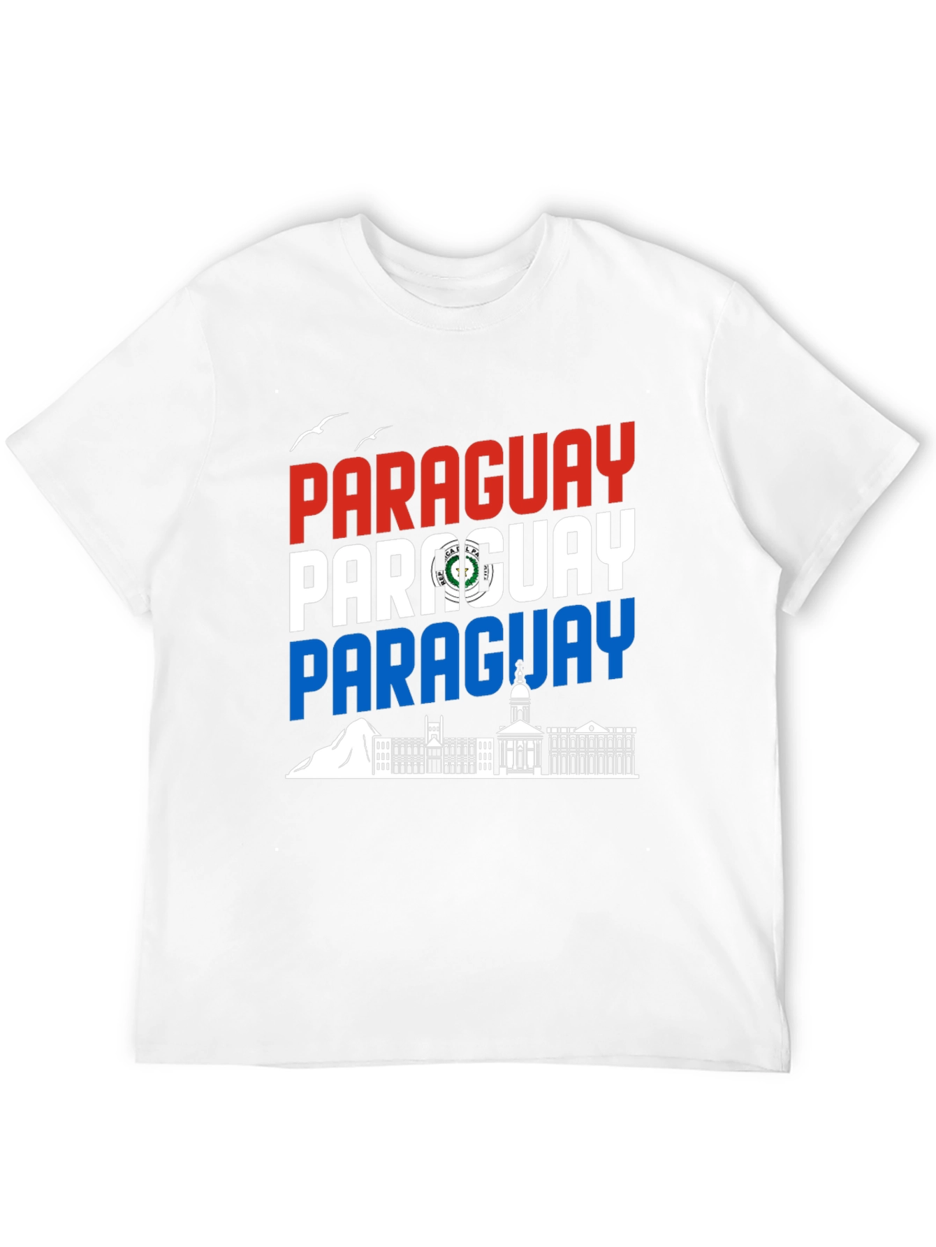 Paraguay Flag Graphic Tee - Black