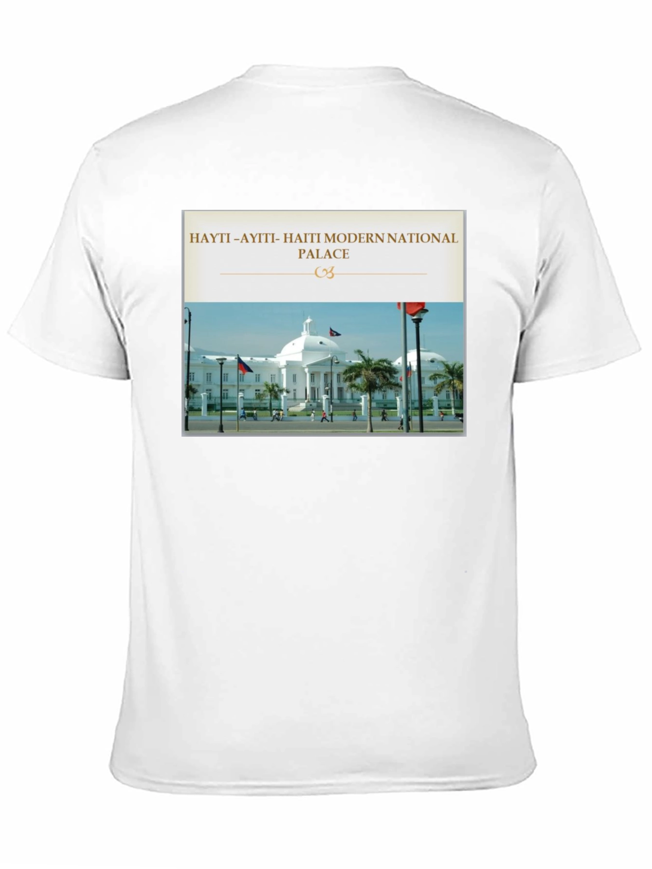 Haiti National Palace Graphic T-Shirt