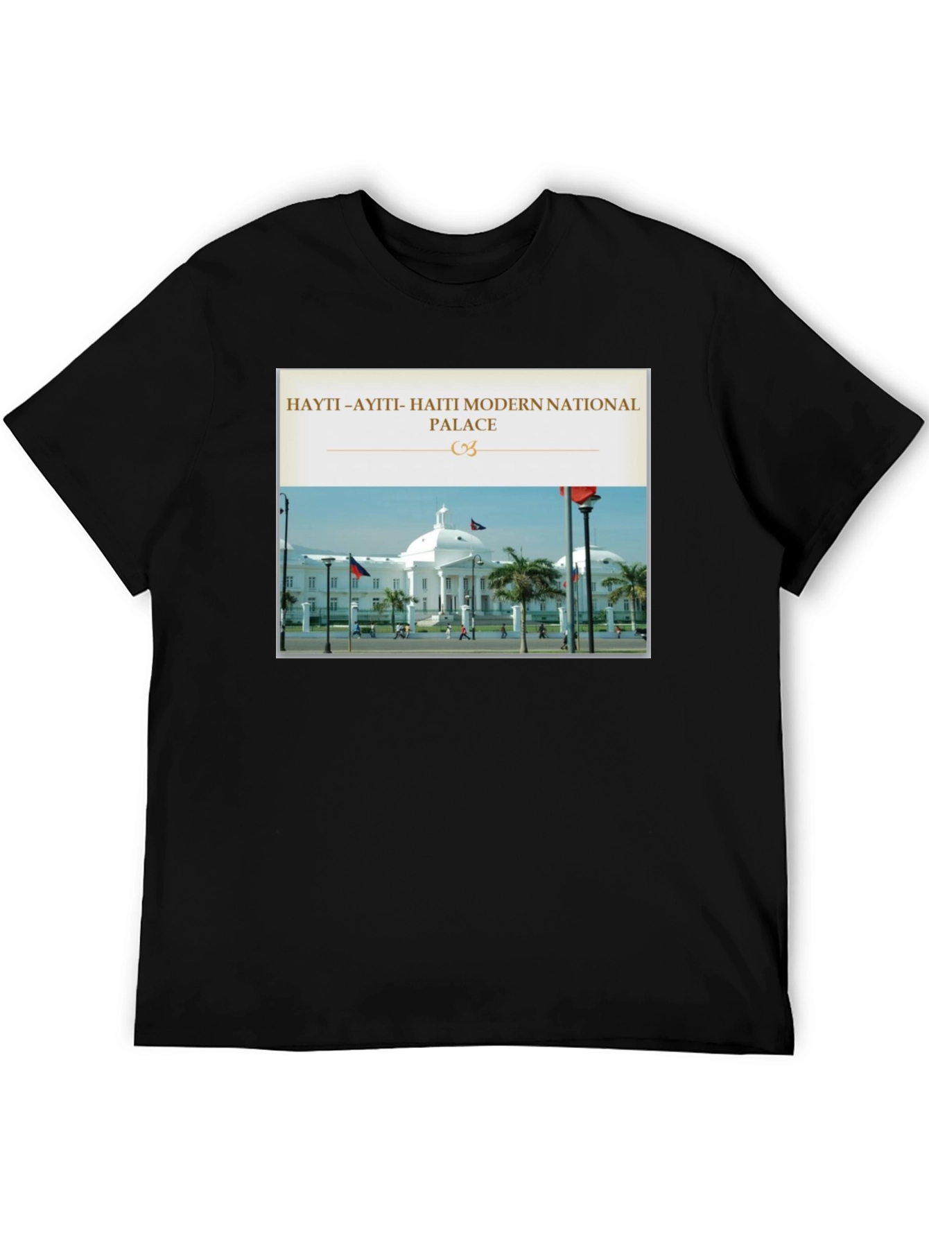 Haiti National Palace Graphic T-Shirt
