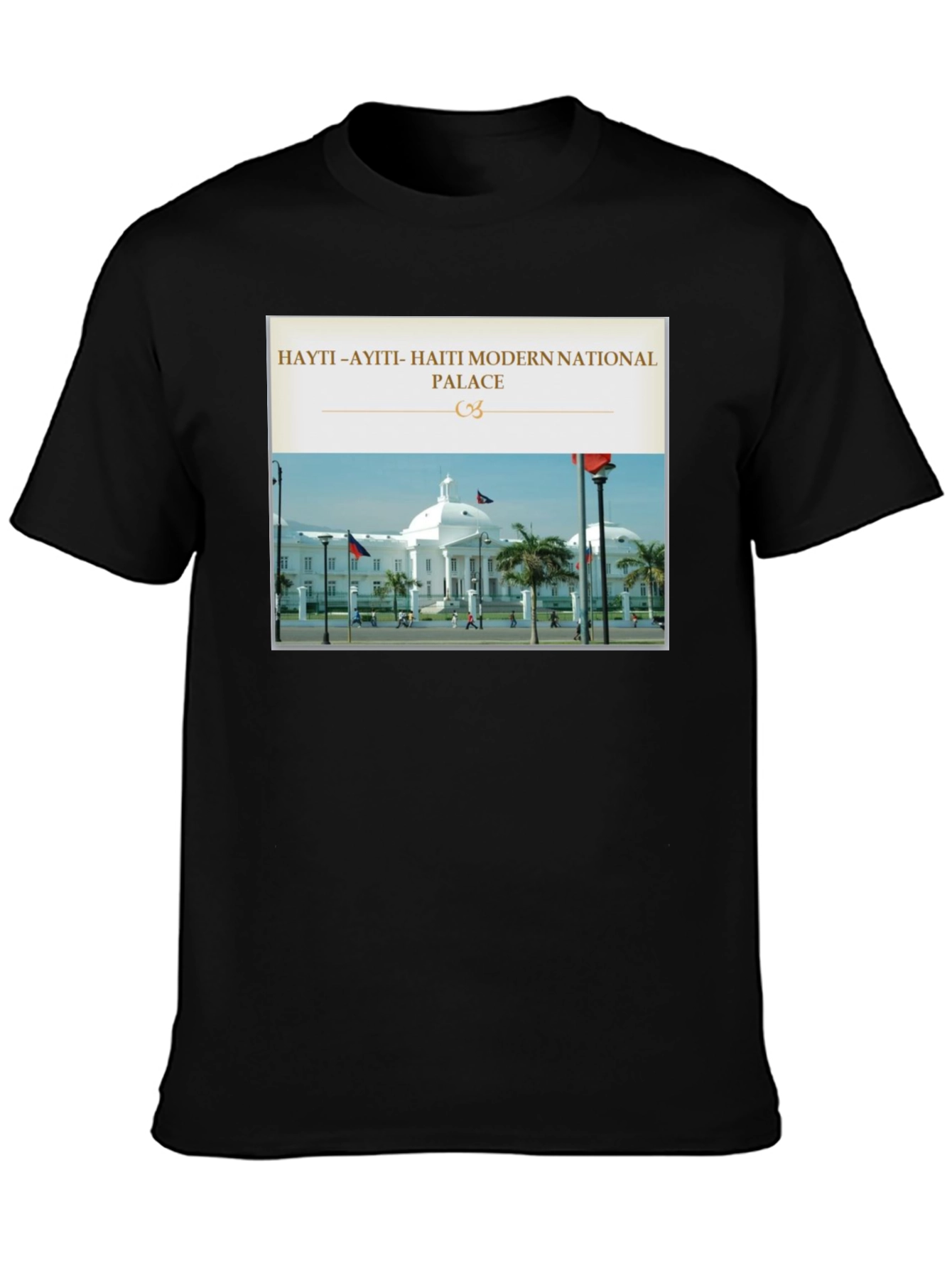 Haiti National Palace Graphic T-Shirt