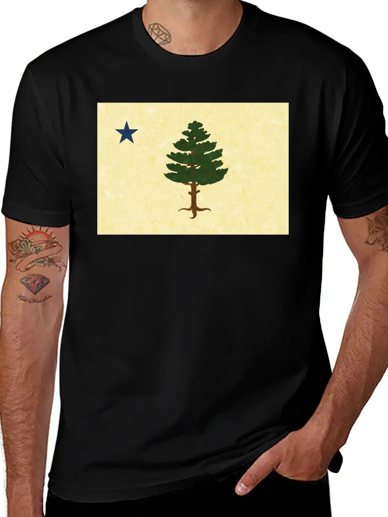 Original 1901 Maine Flag Unisex Casual T-Shirt – Clean Design For Daily Comfort