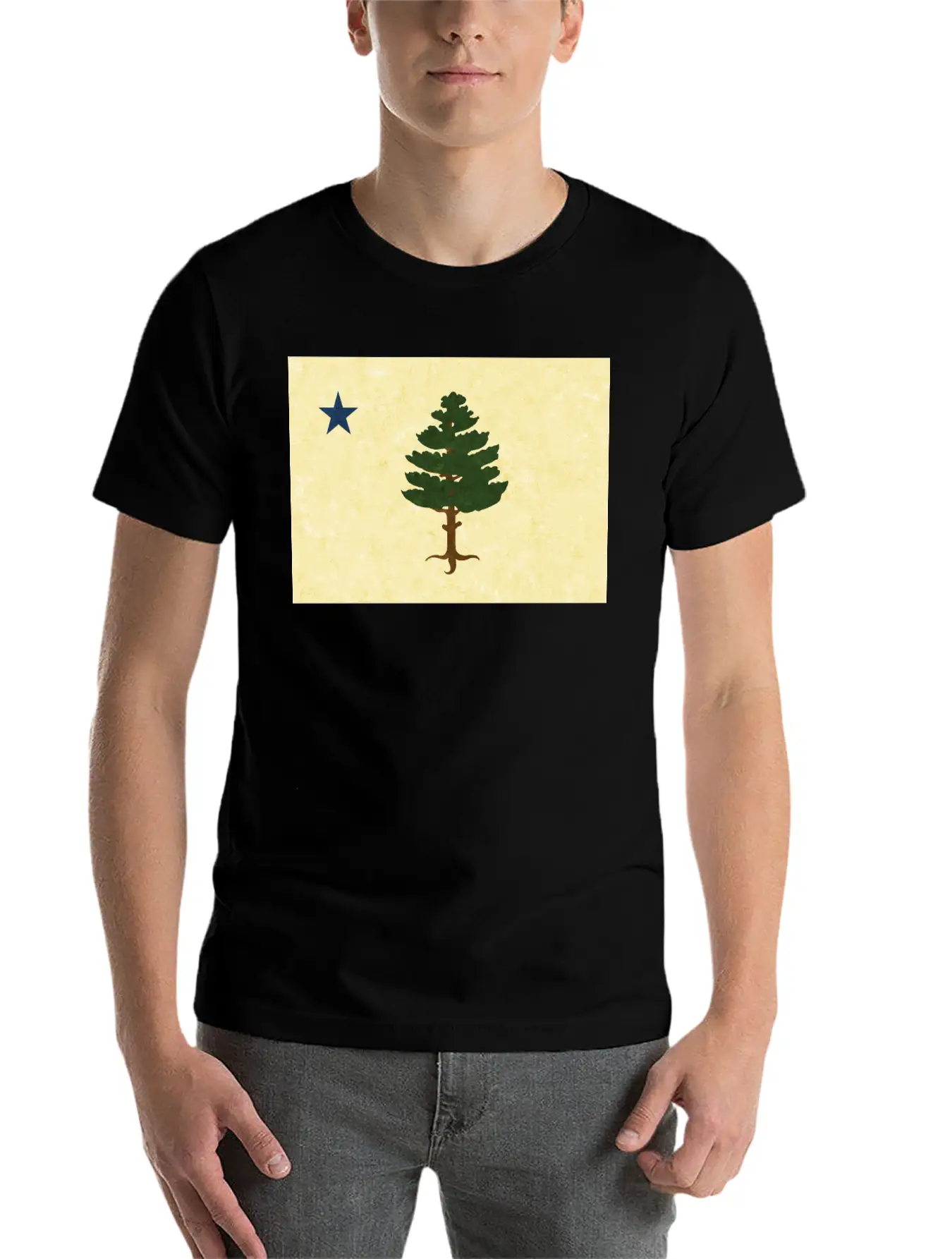 Original 1901 Maine Flag Unisex Casual T-Shirt – Clean Design For Daily Comfort
