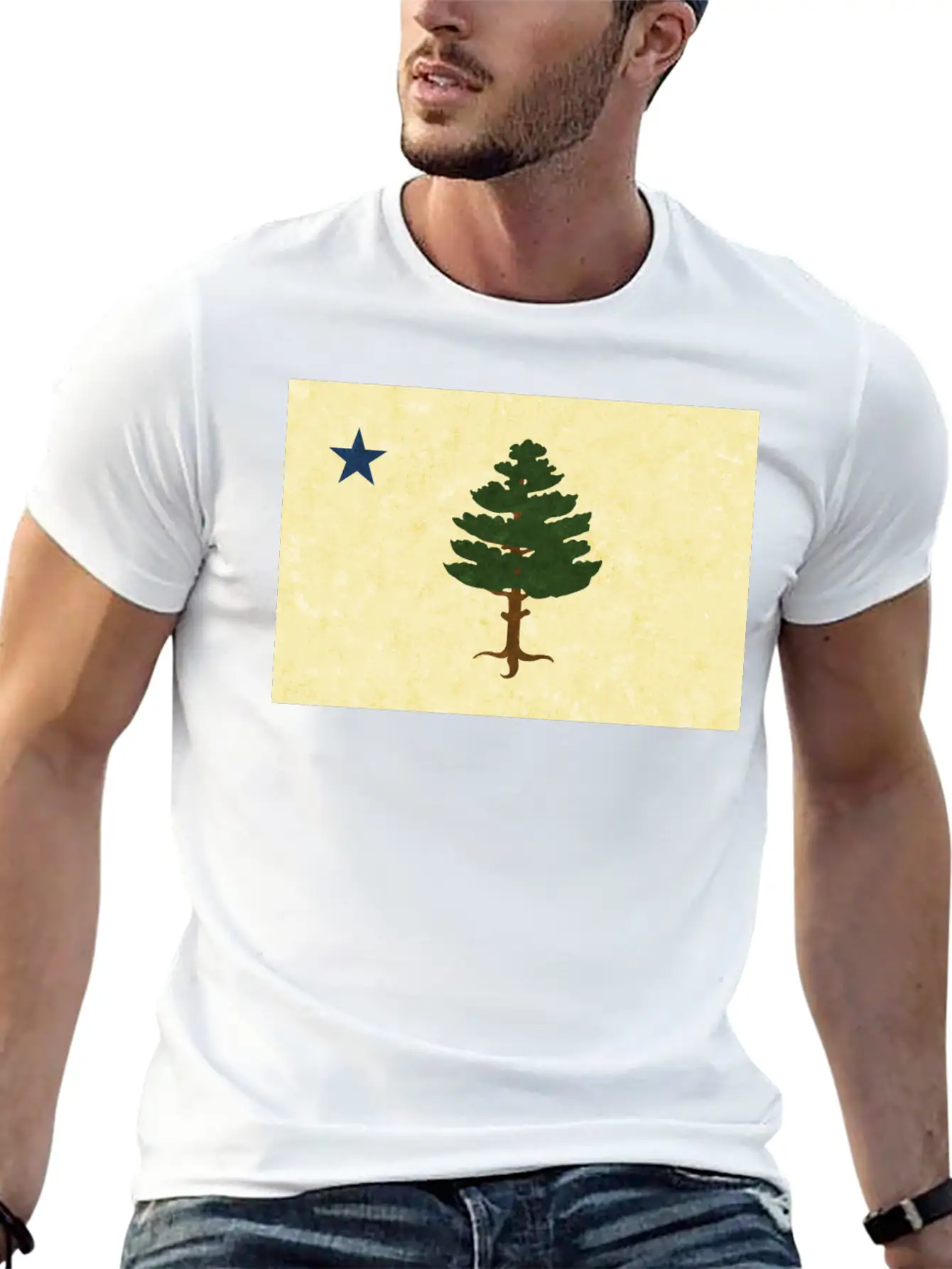 Original 1901 Maine Flag Unisex Casual T-Shirt – Clean Design For Daily Comfort