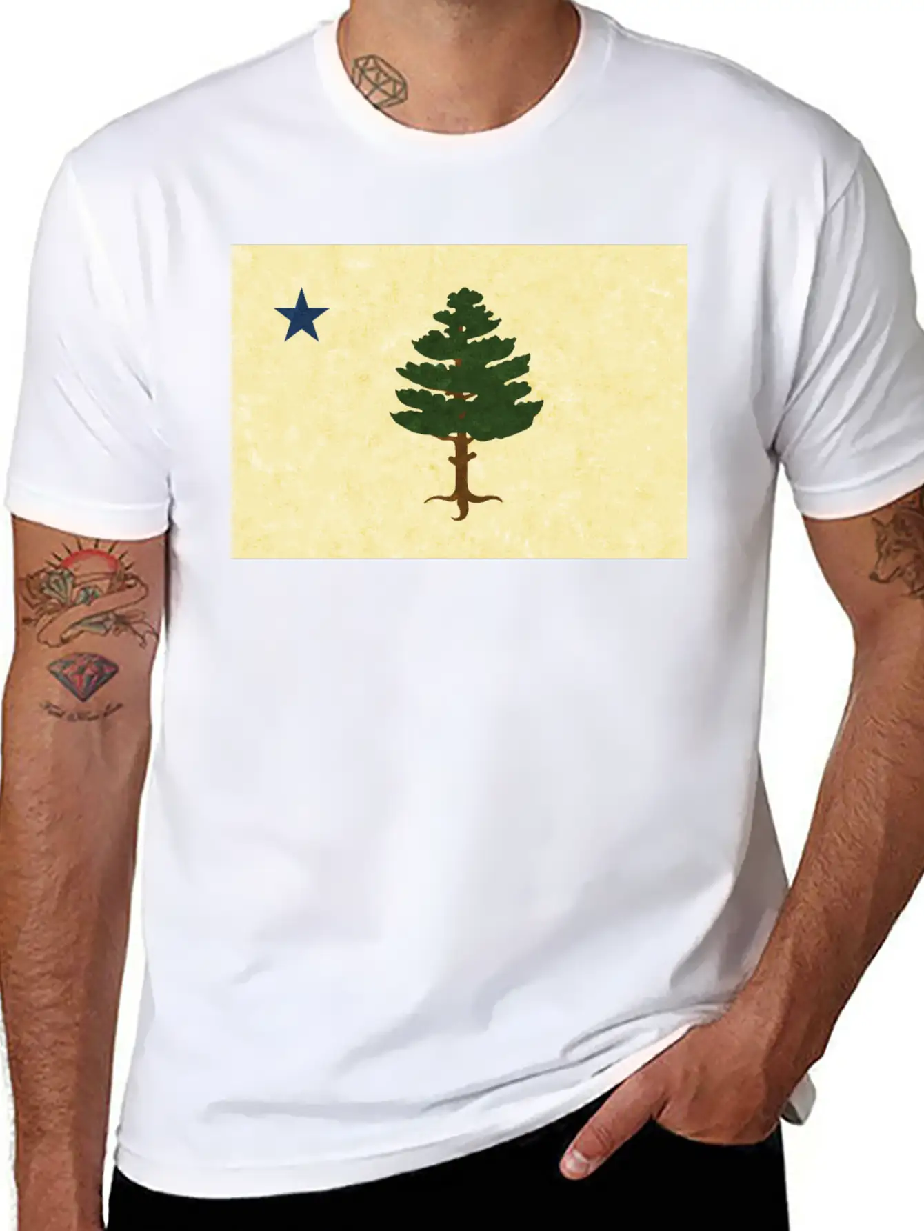 Original 1901 Maine Flag Unisex Casual T-Shirt – Clean Design For Daily Comfort