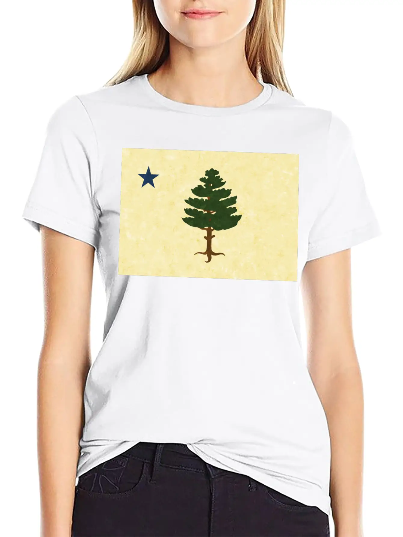Original 1901 Maine Flag Unisex Casual T-Shirt – Clean Design For Daily Comfort