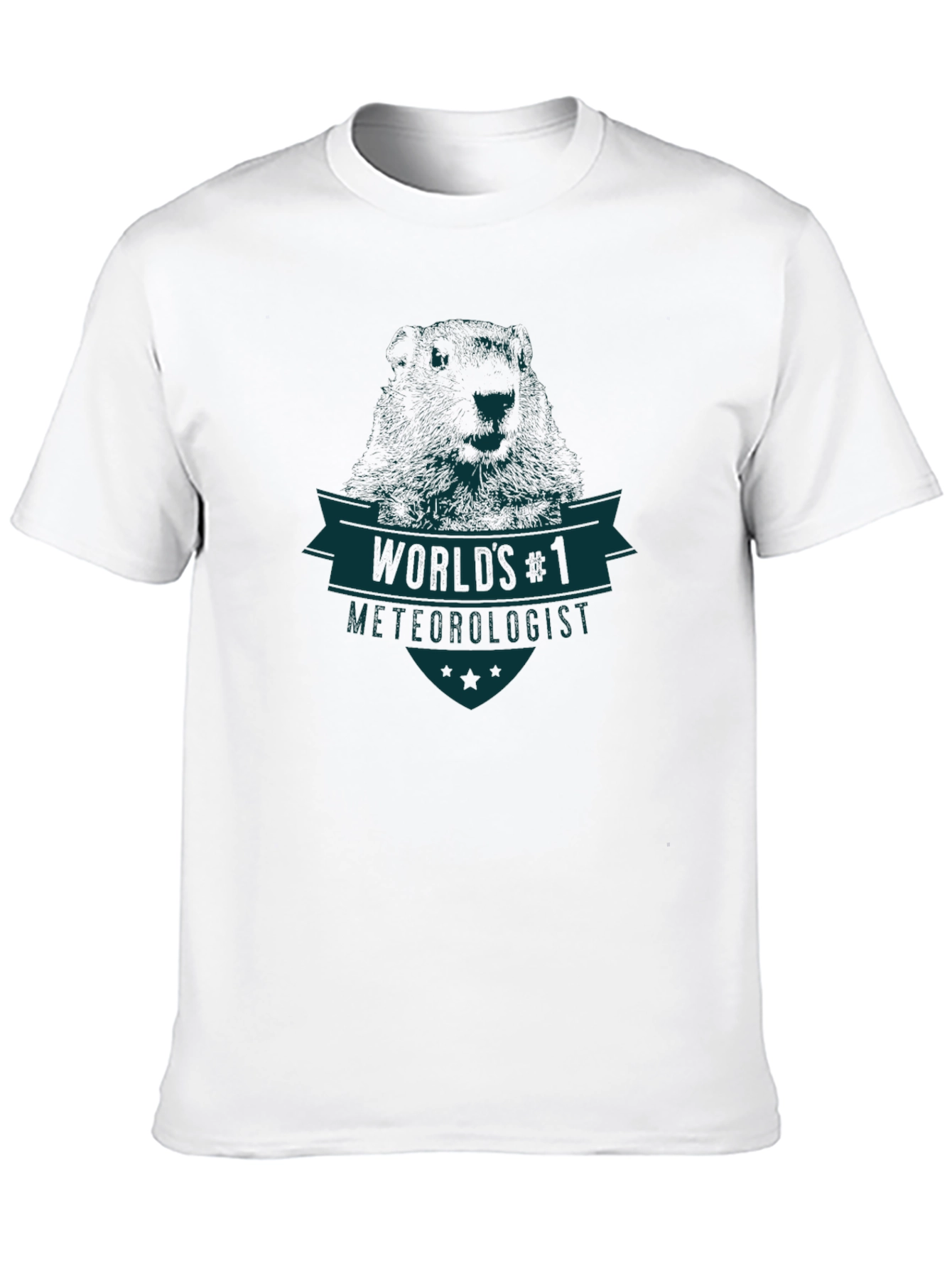 Worlds #1 Meteorologist Graphic T-Shirt