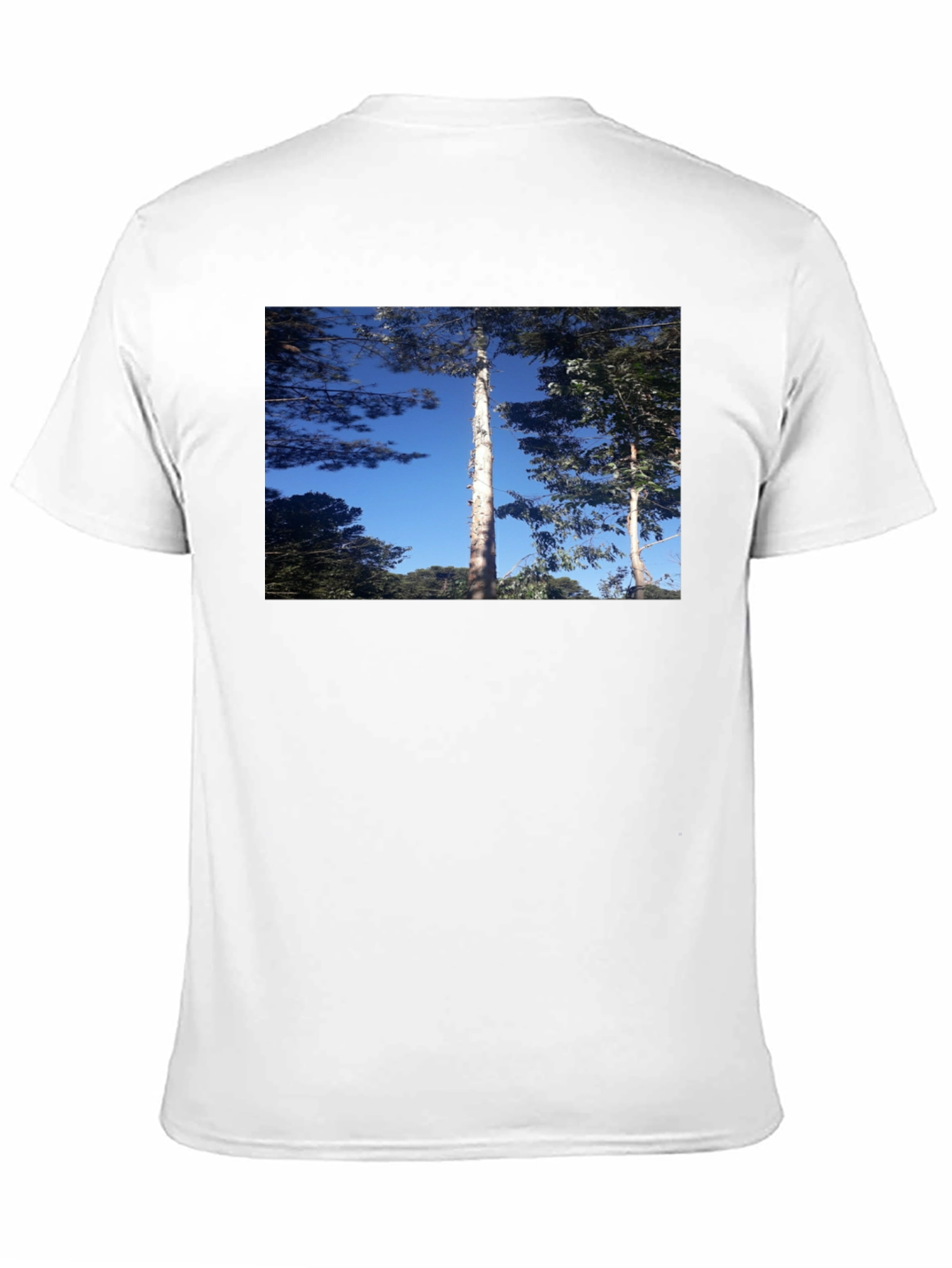 Nature Scene Black T-Shirt