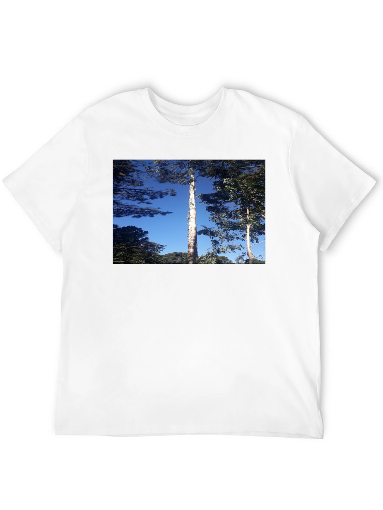 Nature Scene Black T-Shirt